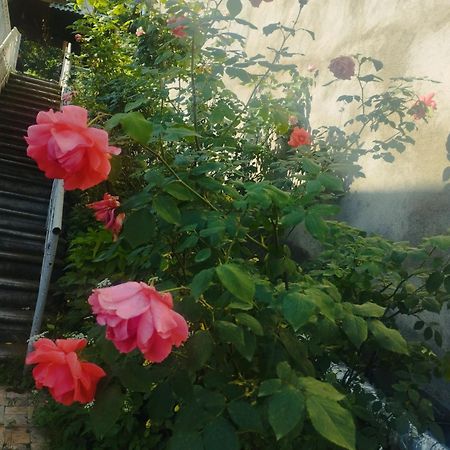 Bbq House Apartment Dilijan Ngoại thất bức ảnh